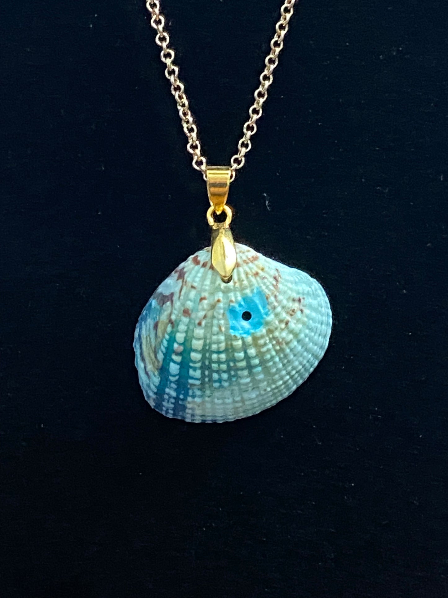 Aqua & Blue Seashell with KC Gold Necklace (slight imperfection)