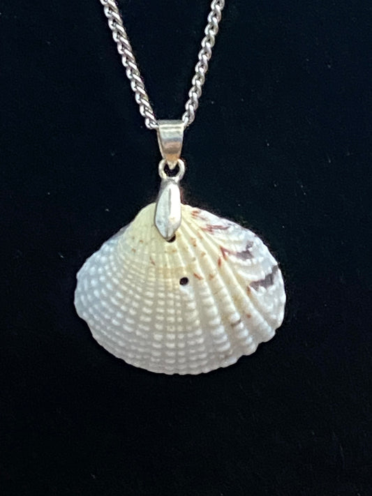 White, Yellow & Gray Seashell with Silver Necklace