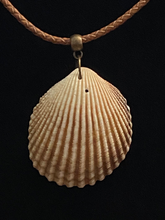 Tan & Brown Seashell & Brown Leather Cord Necklace