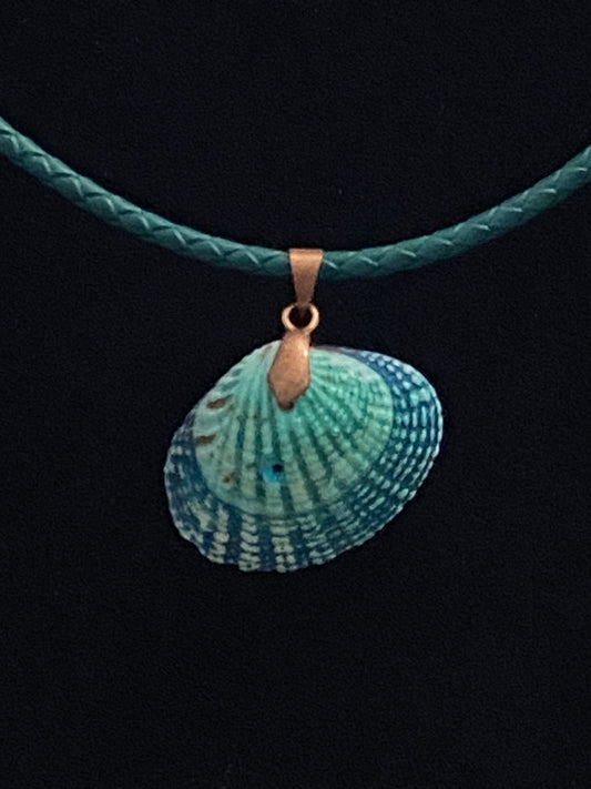 Aqua & Blue Seashell & Green Leather Cord Necklace (slight imperfection)