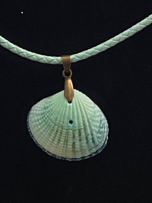 Aqua & Blue Seashell & Aqua Leather Cord Necklace  (slight imperfection)