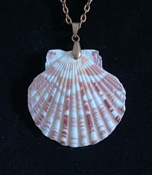 White & Maroon Seashell with Red Copper Necklace