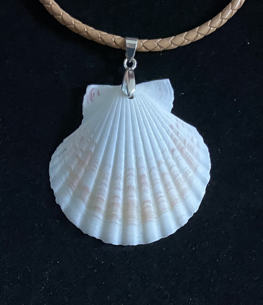 White Seashell with Tan Leather Cord Necklace