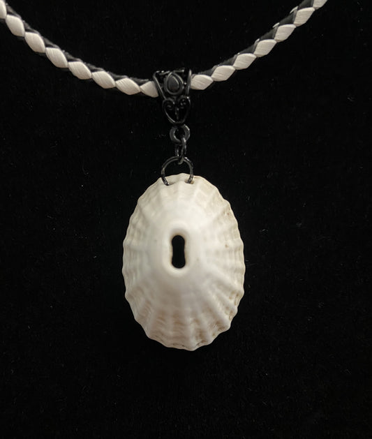 White Seashell with White & Black Leather Cord Necklace