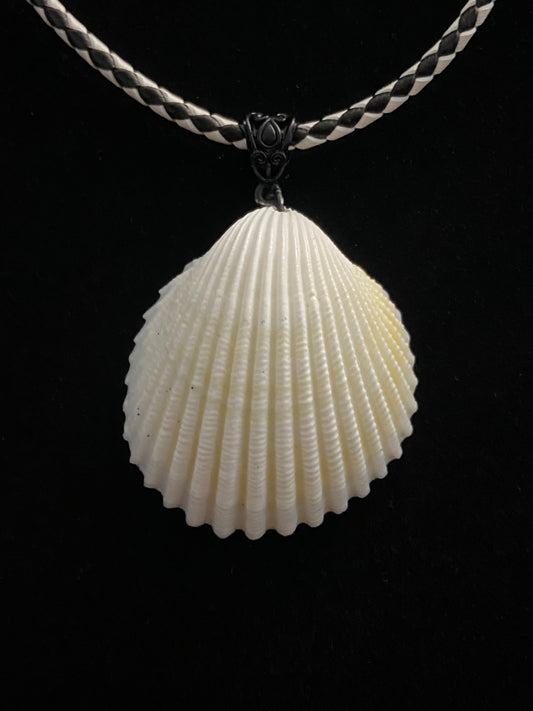 White Seashell with White & Black Leather Cord Necklace