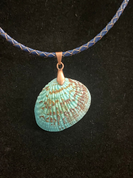 Aqua & Brown Seashell & Blue & Tan Leather Cord Necklace