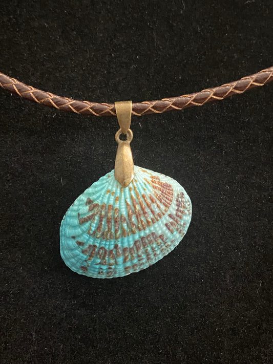 Aqua & Brown Seashell & Brown Leather Cord Necklace