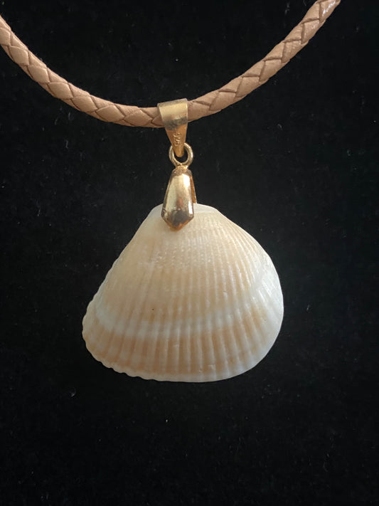 White & Tan Seashell with Tan Leather Cord Necklace 3