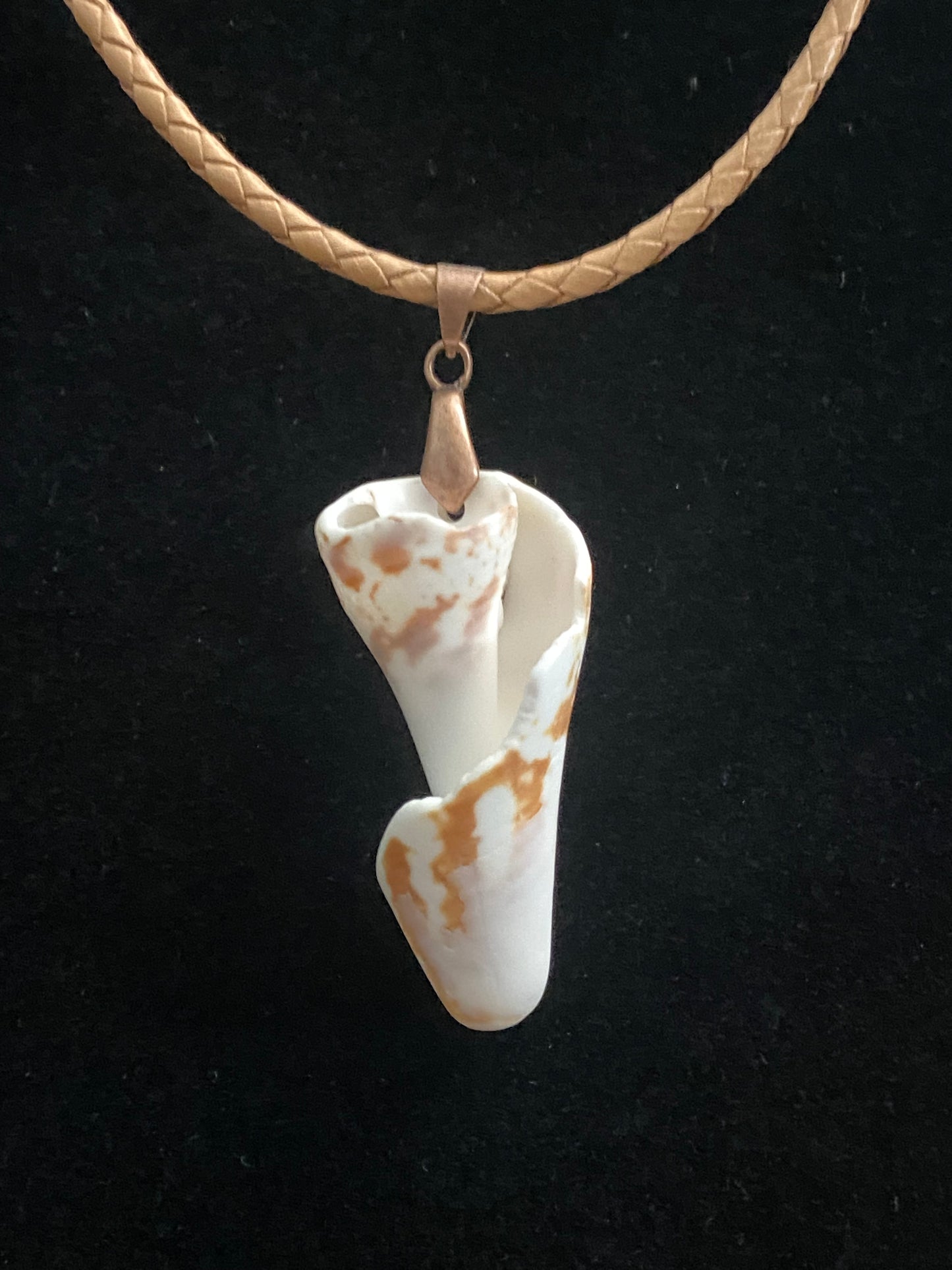 White & Tan Seashell with Tan Leather Cord Necklace 5