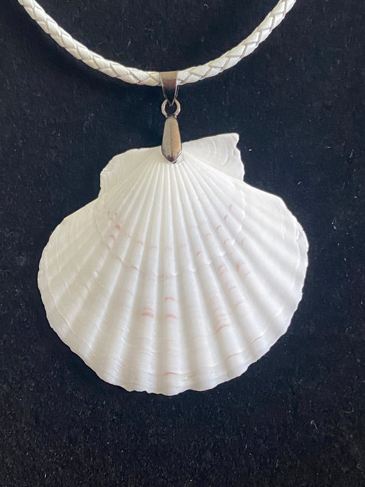 White Seashell with White Leather Cord Necklace