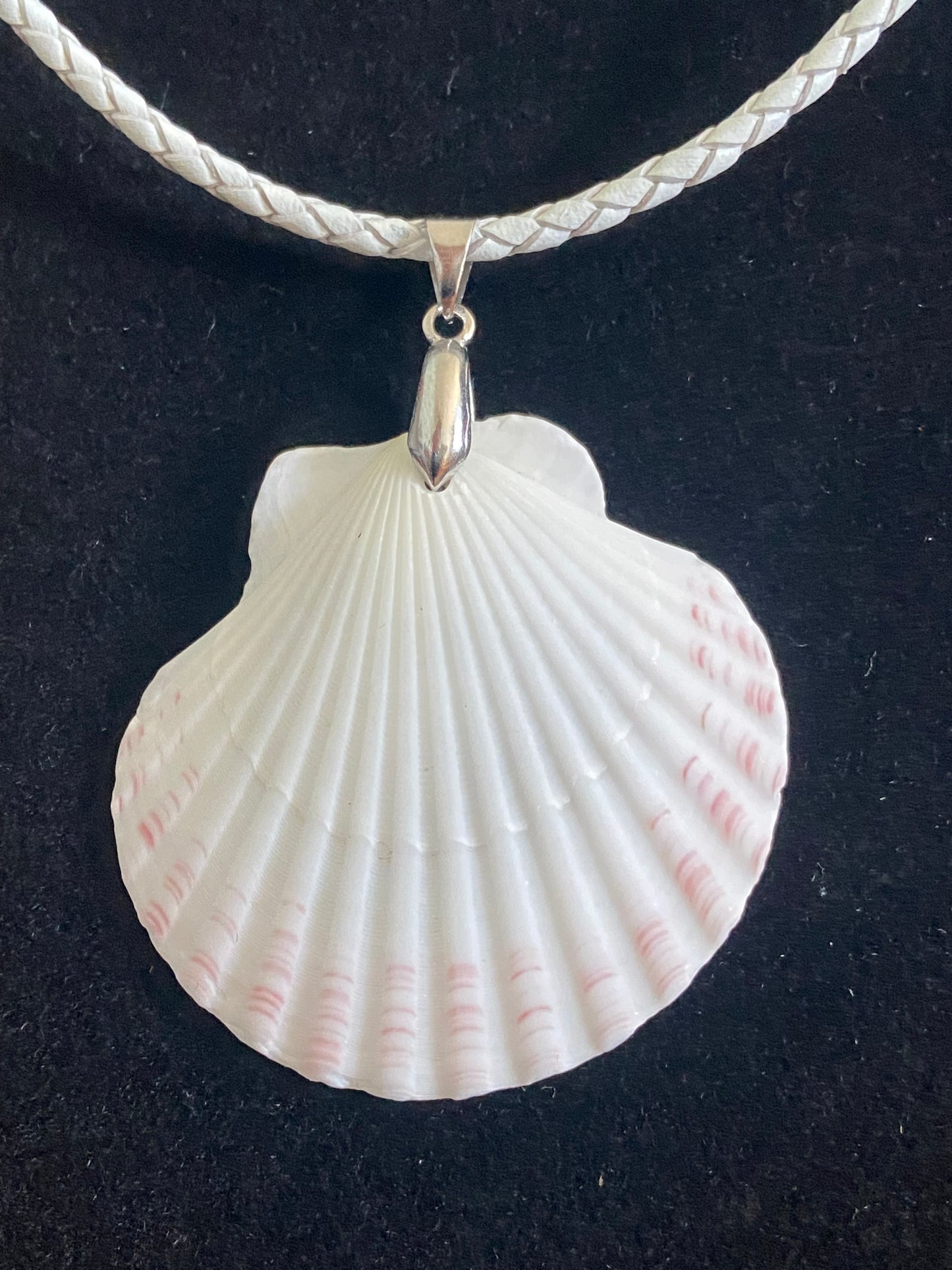 White & Maroon Seashell with White Leather Cord Necklace