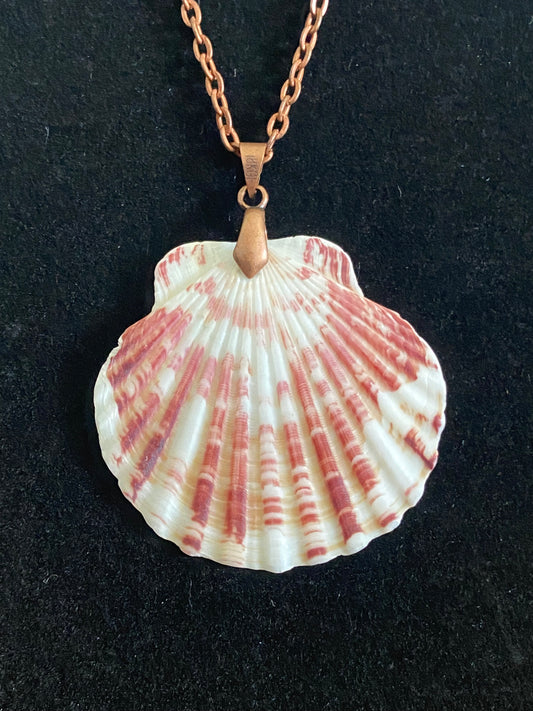 White & Maroon Seashell with Red Copper Necklace 2