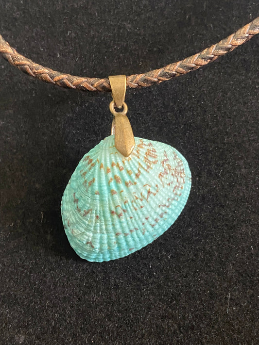 Aqua & Tan Seashell & Brown Leather Cord Necklace