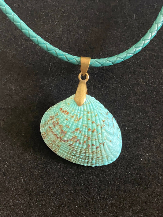Aqua & Tan Seashell & Green Leather Cord Necklace