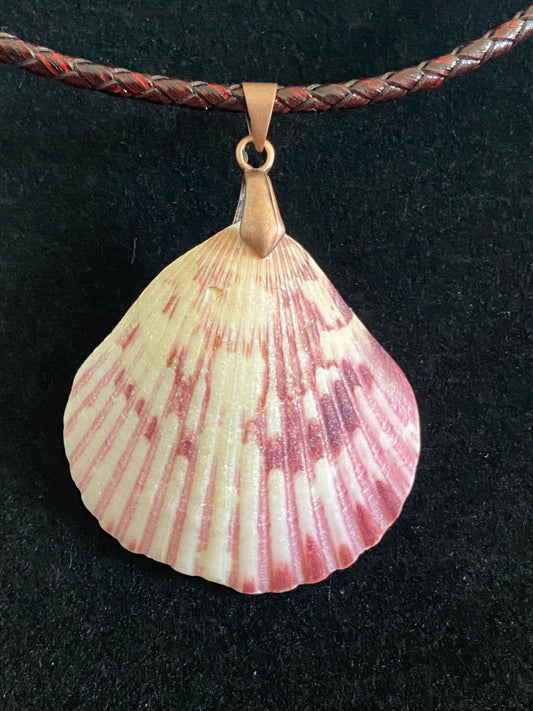 White & Maroon Seashell with Maroon Leather Cord Necklace