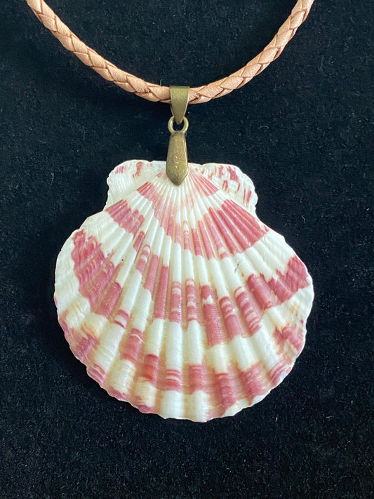 White & Maroon Seashell with Tan Leather Cord Necklace