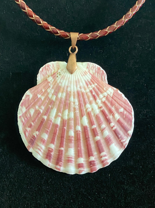 White & Maroon Seashell with Maroon and Tan Leather Cord Necklace