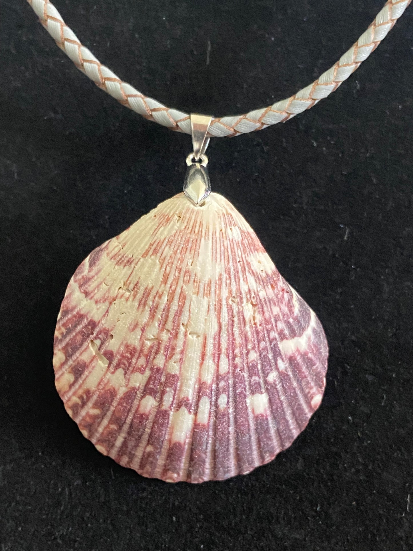 White & Maroon Seashell with Gray Leather Cord Necklace